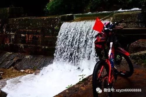 网球运动员营救