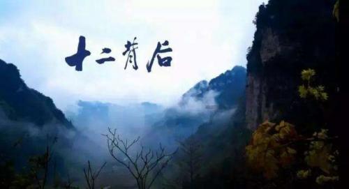 勿忘我