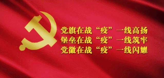 生化危机保护伞小队