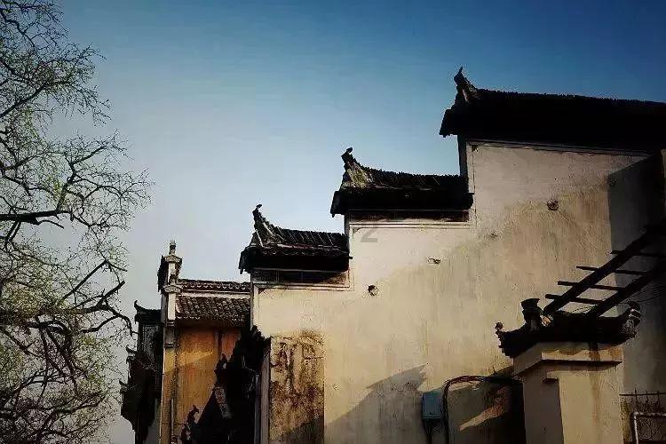 动物家园守卫战